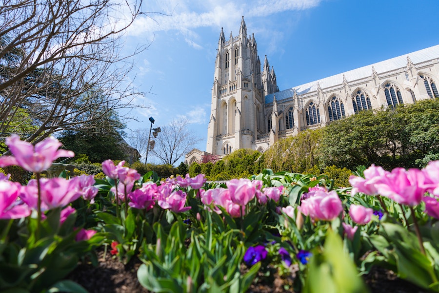 National Cathedral with some flowers 
