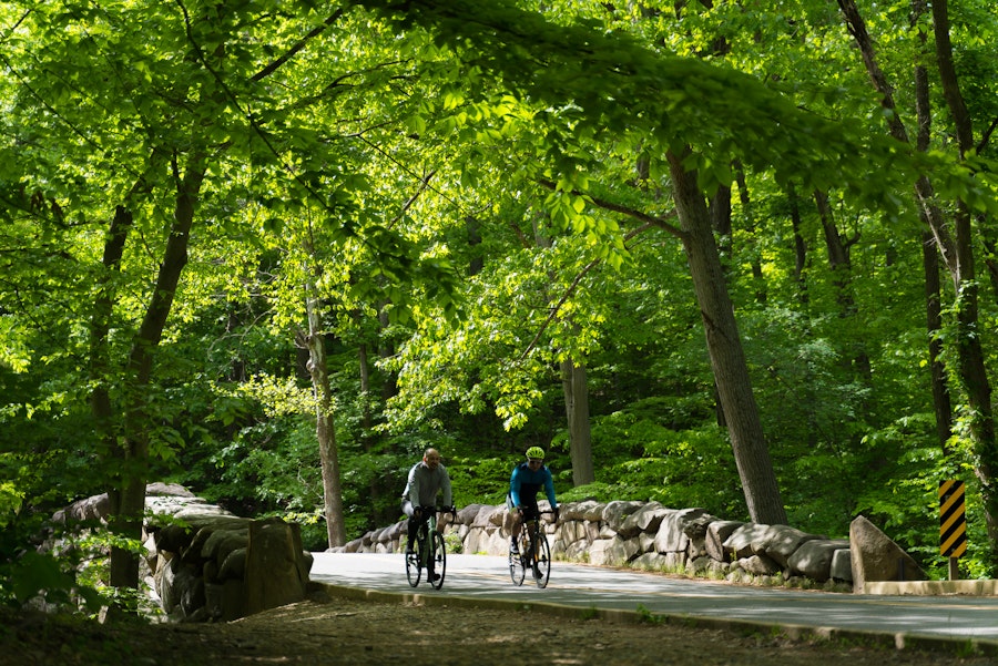 Two cyclists ride along a tree-lined path in Rock Creek Park on a sunny day.