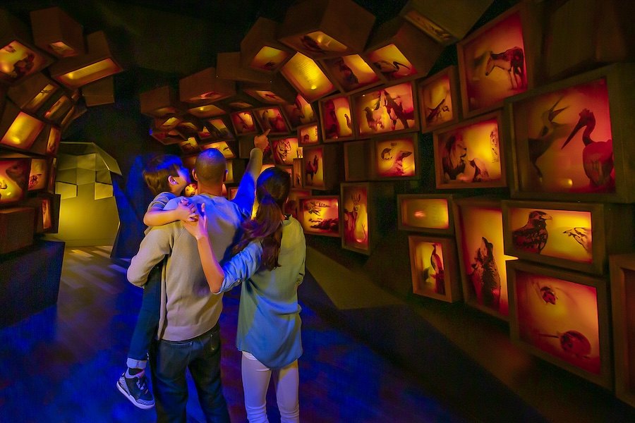 A couple and their young child look up in awe at a colorfully lit exhibit inside the Museum of the Bible. 