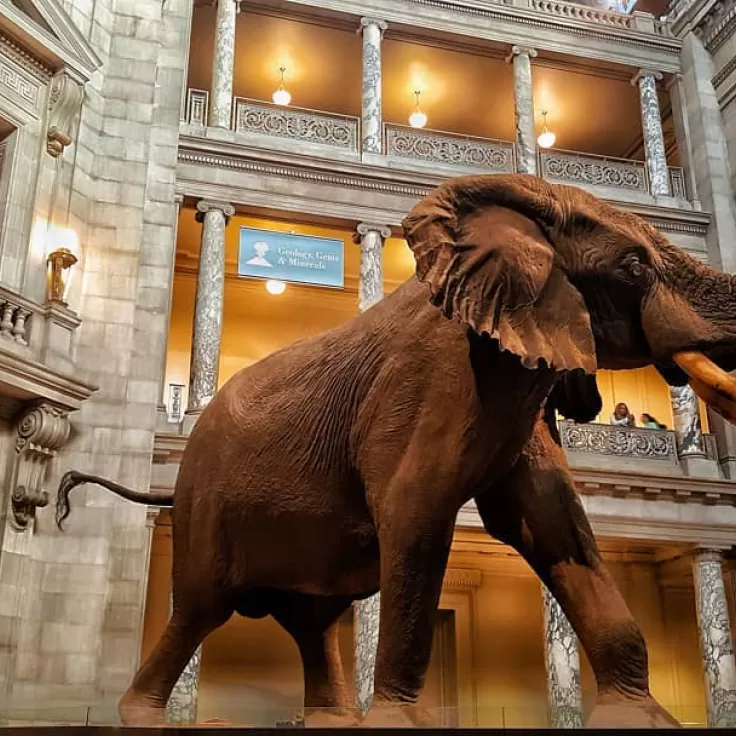 Smithsonian's National Museum of Natural History