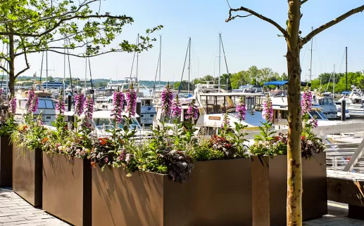 Wharf waterfront in Spring