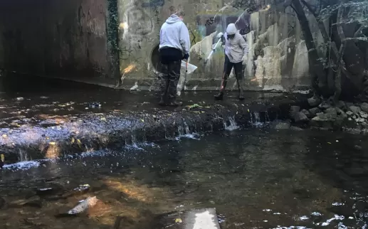 Project Clean Stream (Alliance for the Chesapeake Bay)