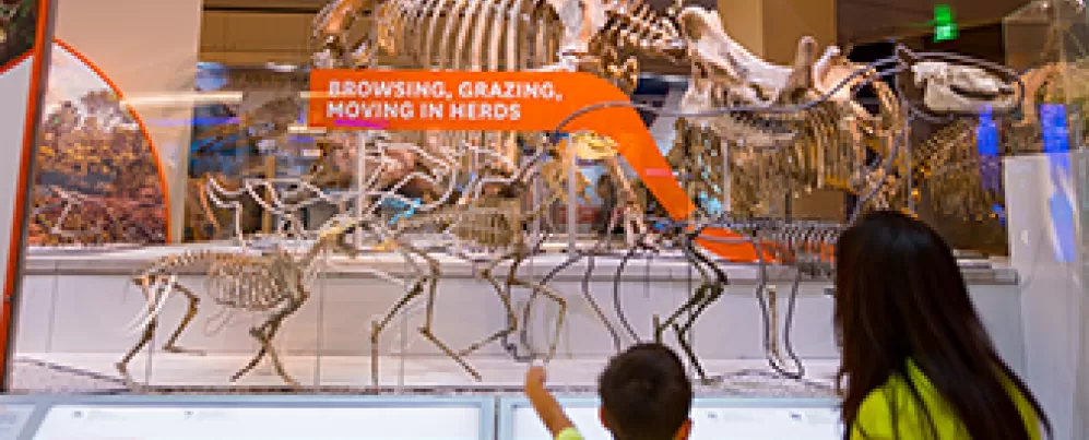 Adult and child pointing up to a fossil of a dinosaur 