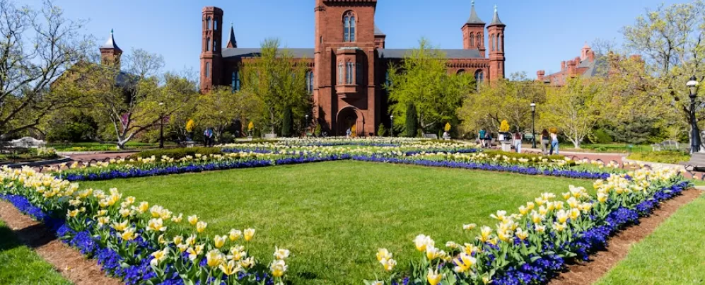 A vibrant garden with colorful flowers surrounds the historic red-brick Smithsonian Castle under a clear blue sky.